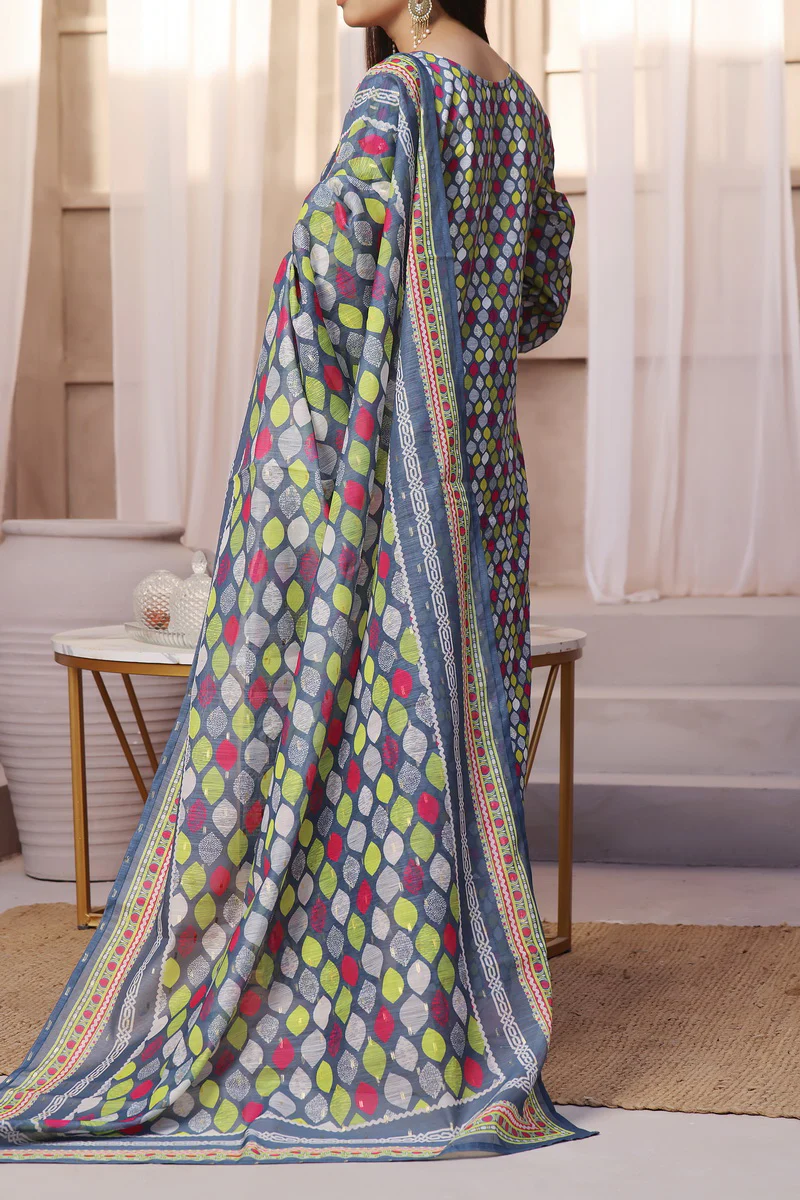 Aiza Momina Chikankari D-65 - Image 3