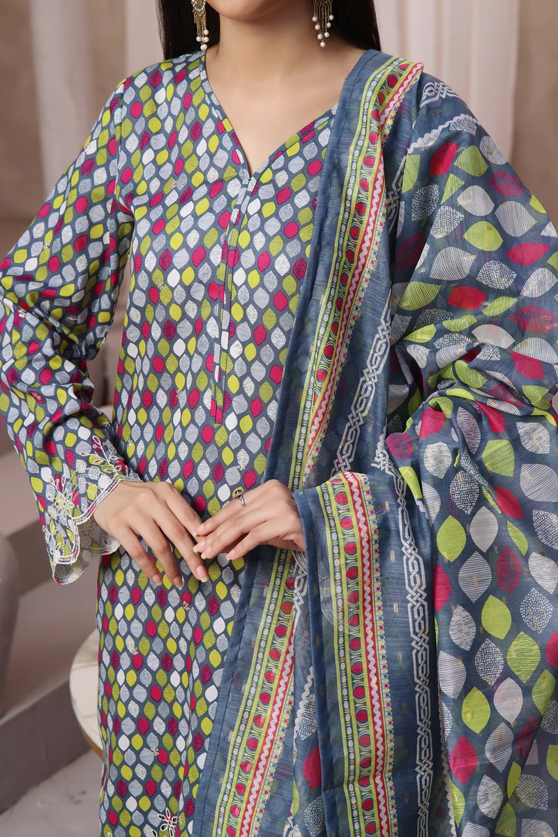 Aiza Momina Chikankari D-65 - Image 5