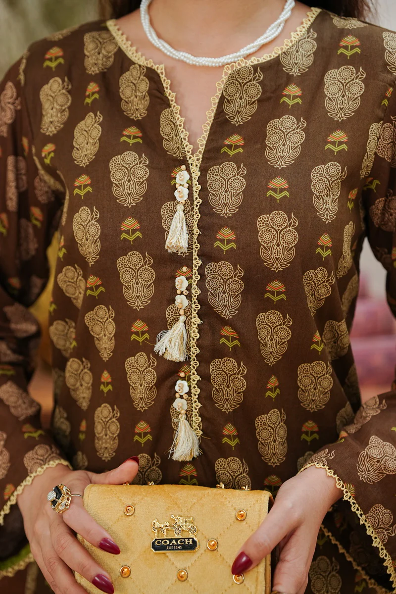 Aiza Momina Coords D-530 - Image 3