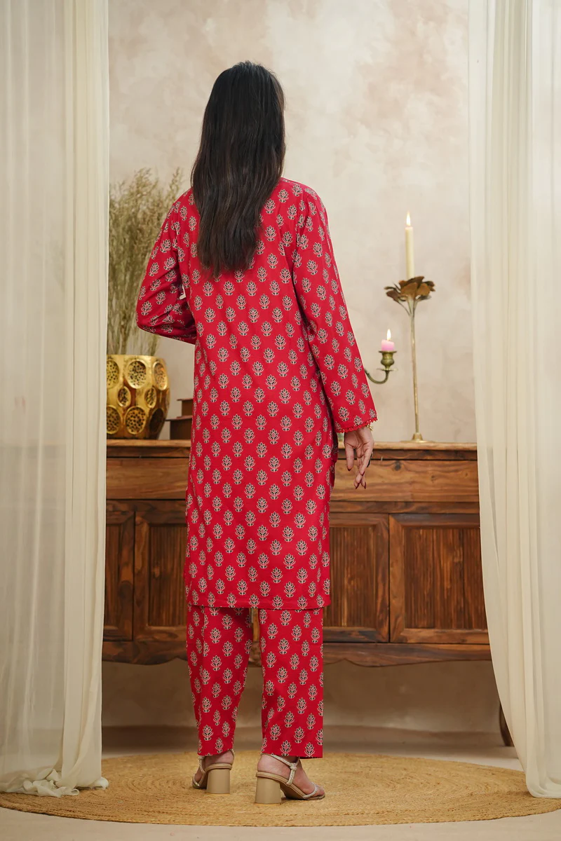 Aiza Momina Coords D-546 - Image 4