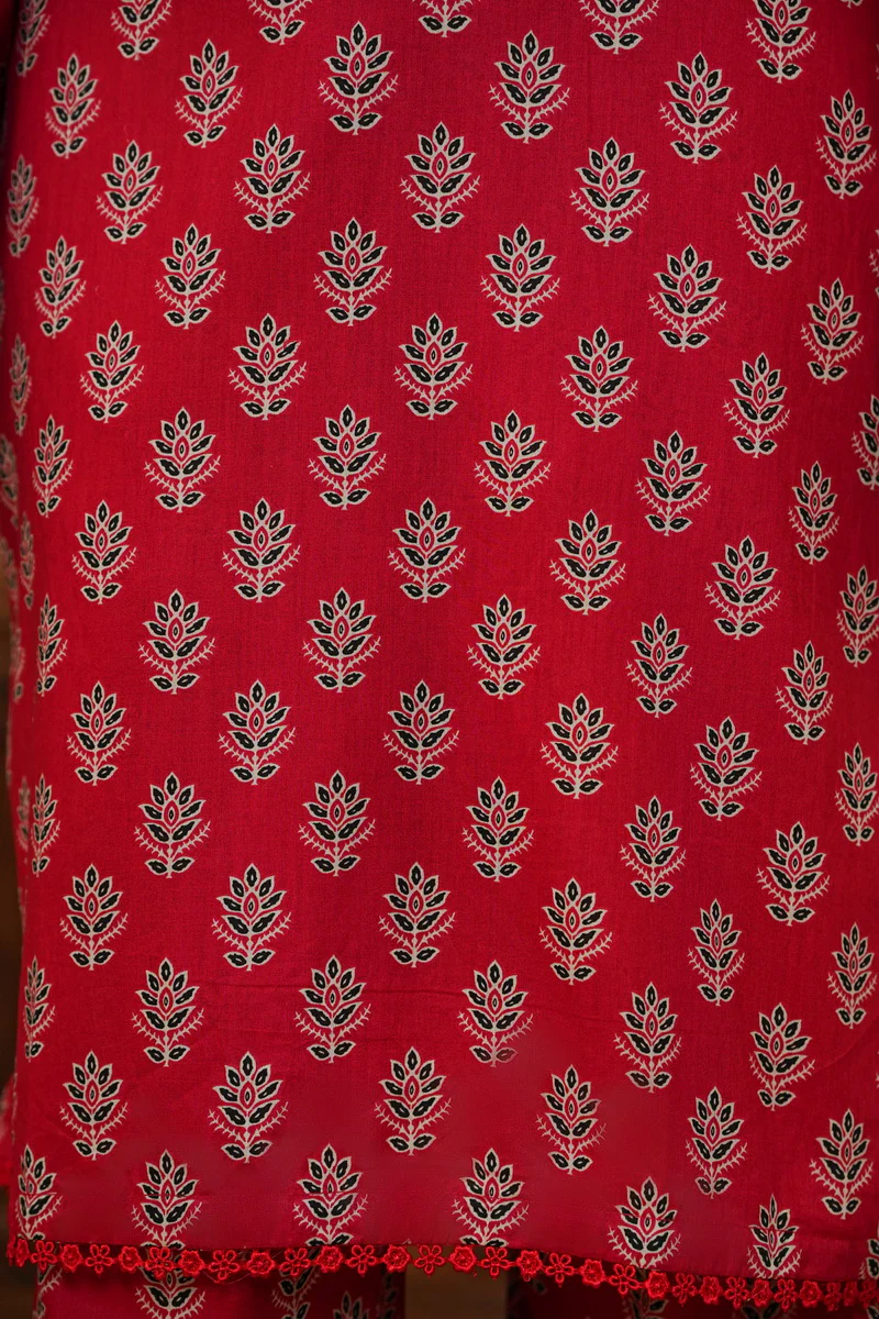 Aiza Momina Coords D-546 - Image 6