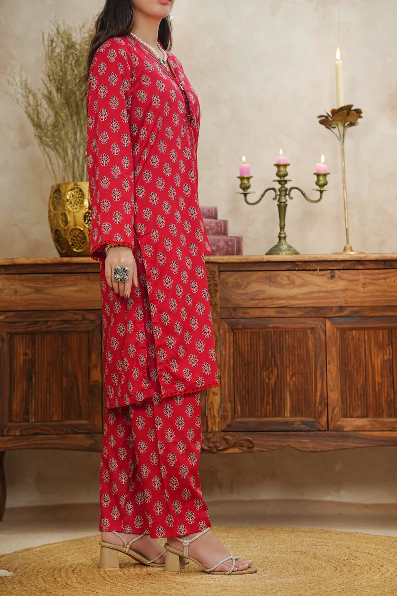 Aiza Momina Coords D-546 - Image 7