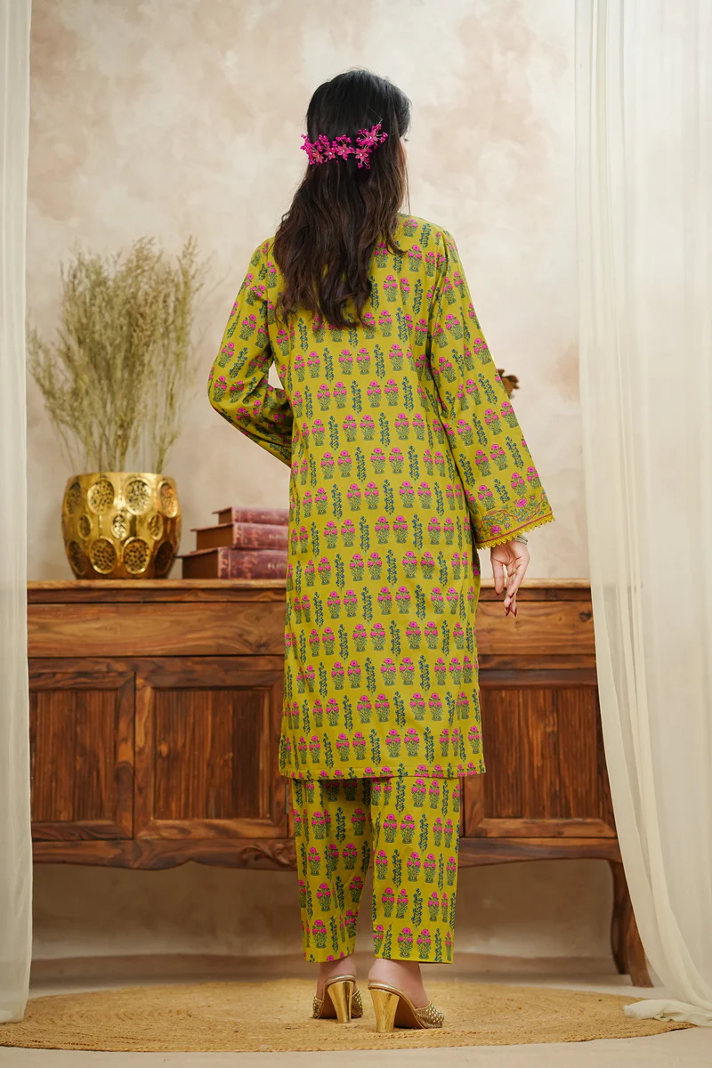 Aiza Momina Coords D-547 - Image 4
