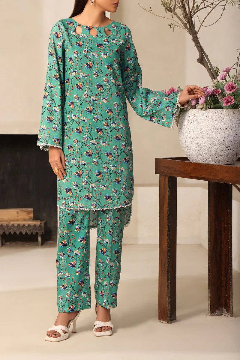 Aiza Momina Coords D-8153 - Image 2