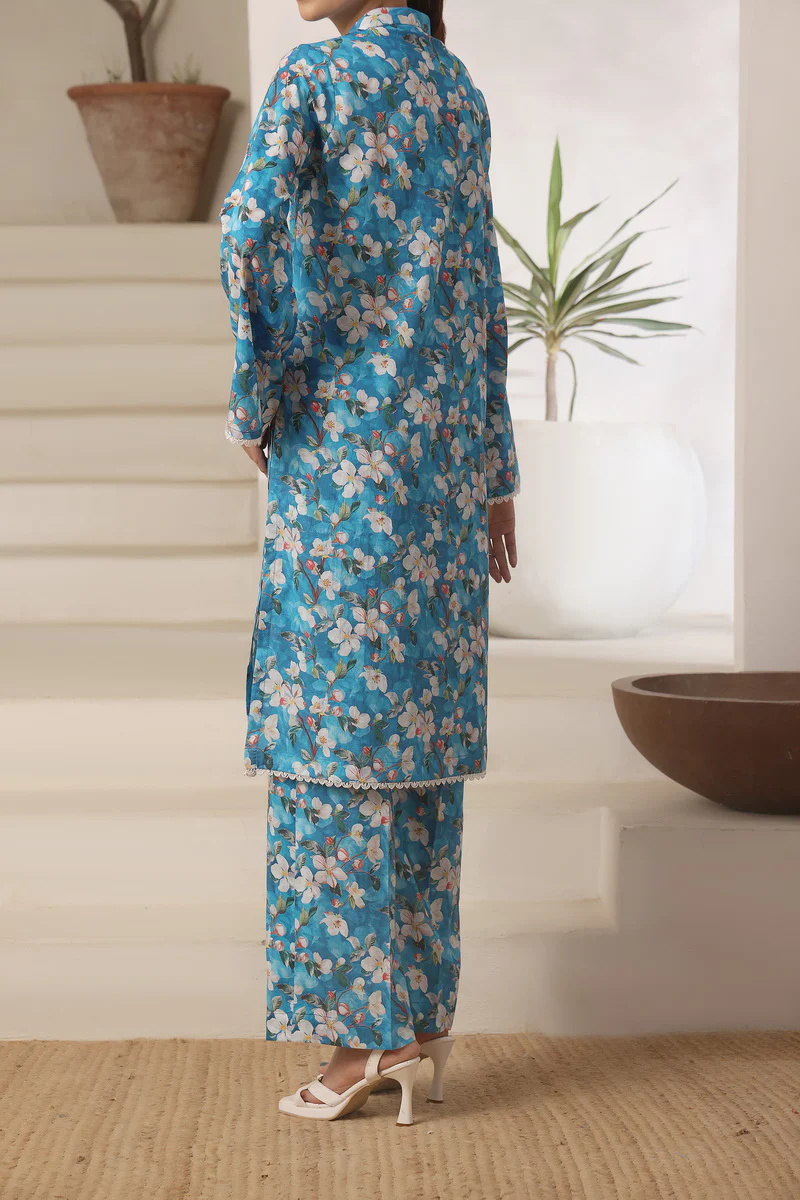 Aiza Momina Coords D-8161 - Image 3