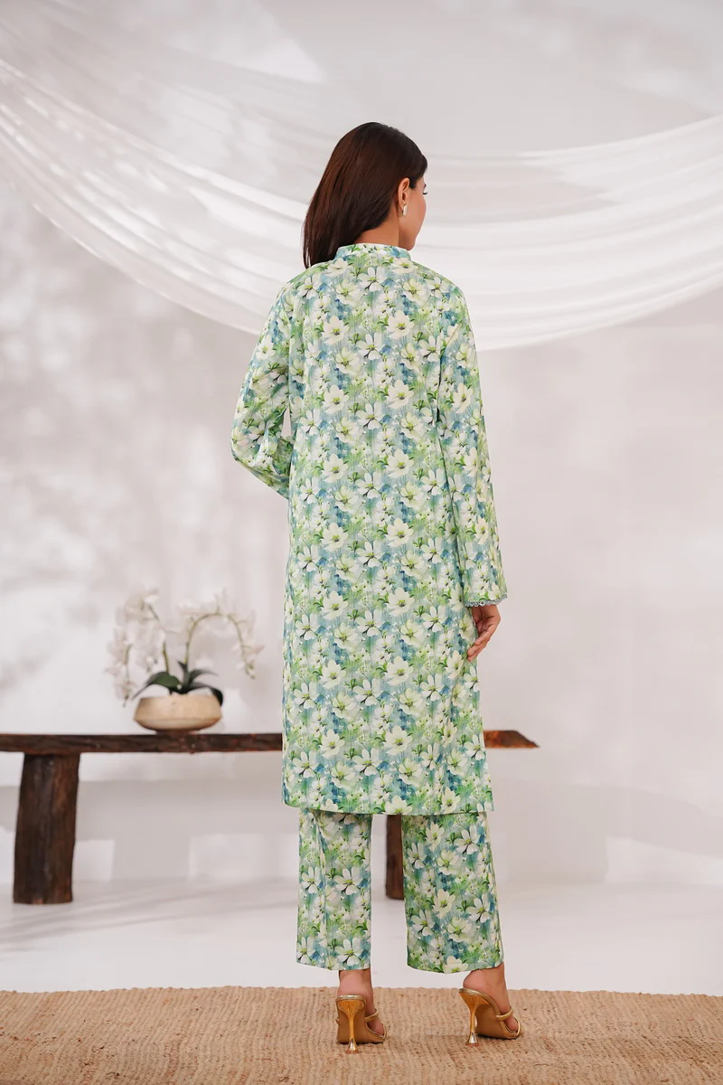 Aiza Momina Coords D-8218 - Image 4
