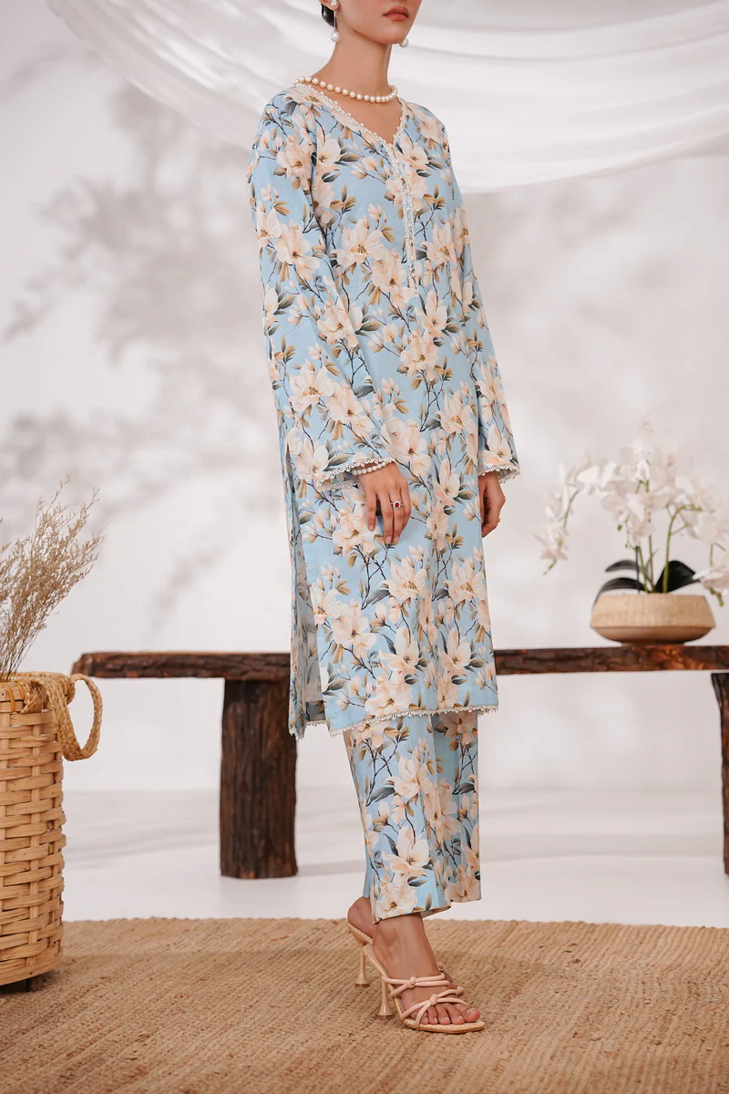 Aiza Momina Coords D-8227 - Image 2