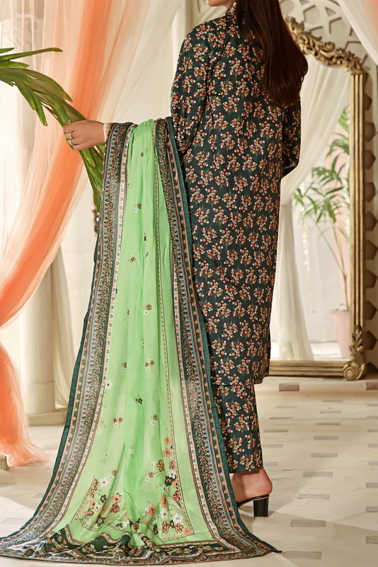Aiza Momina Emb D-24 - Image 5