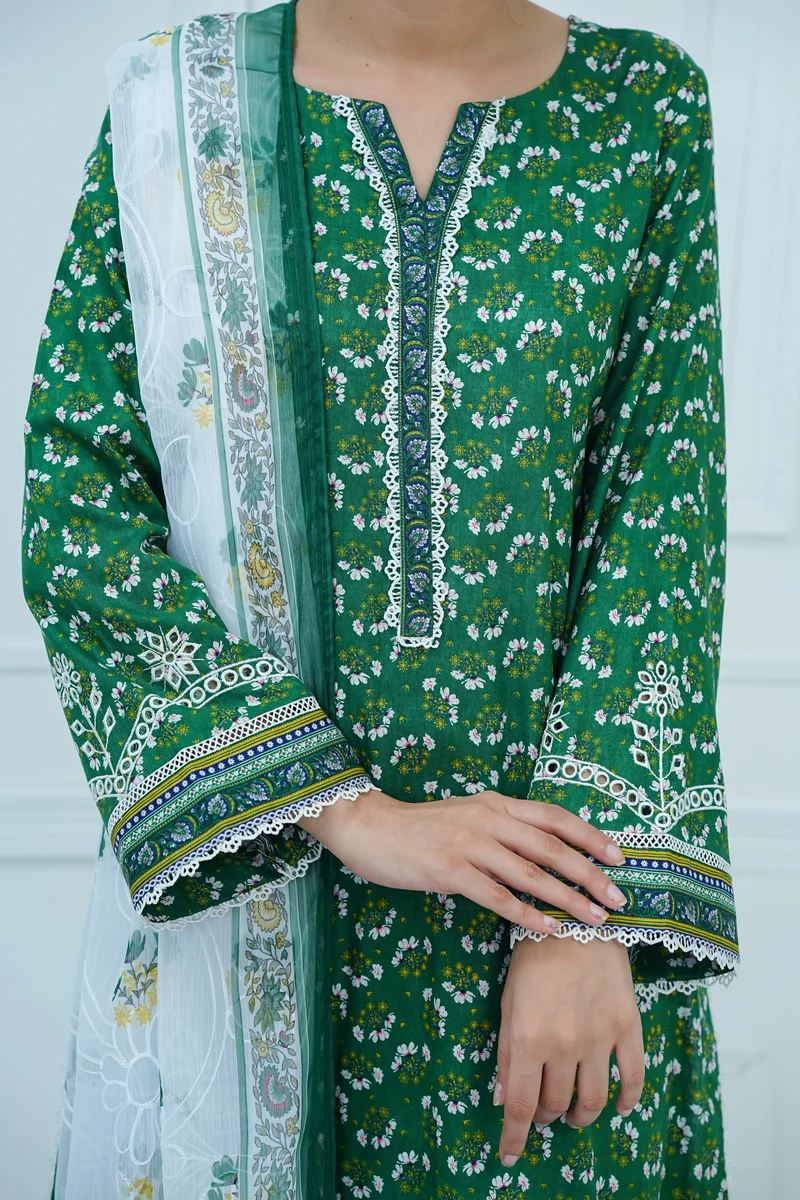 Aiza Momina Emb D-67 - Image 3
