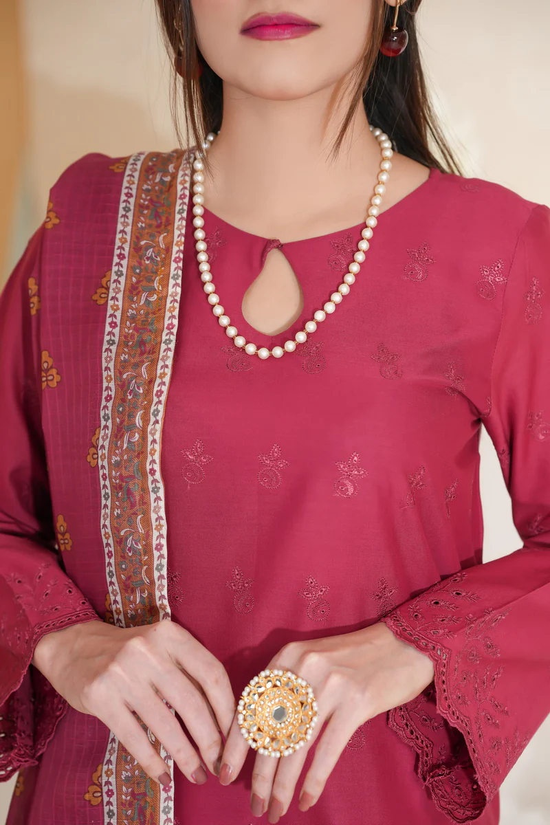 Anarkali Emb D-388 - Image 2