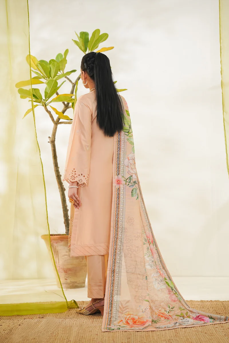 Anmol Embroidered D-084 - Image 3