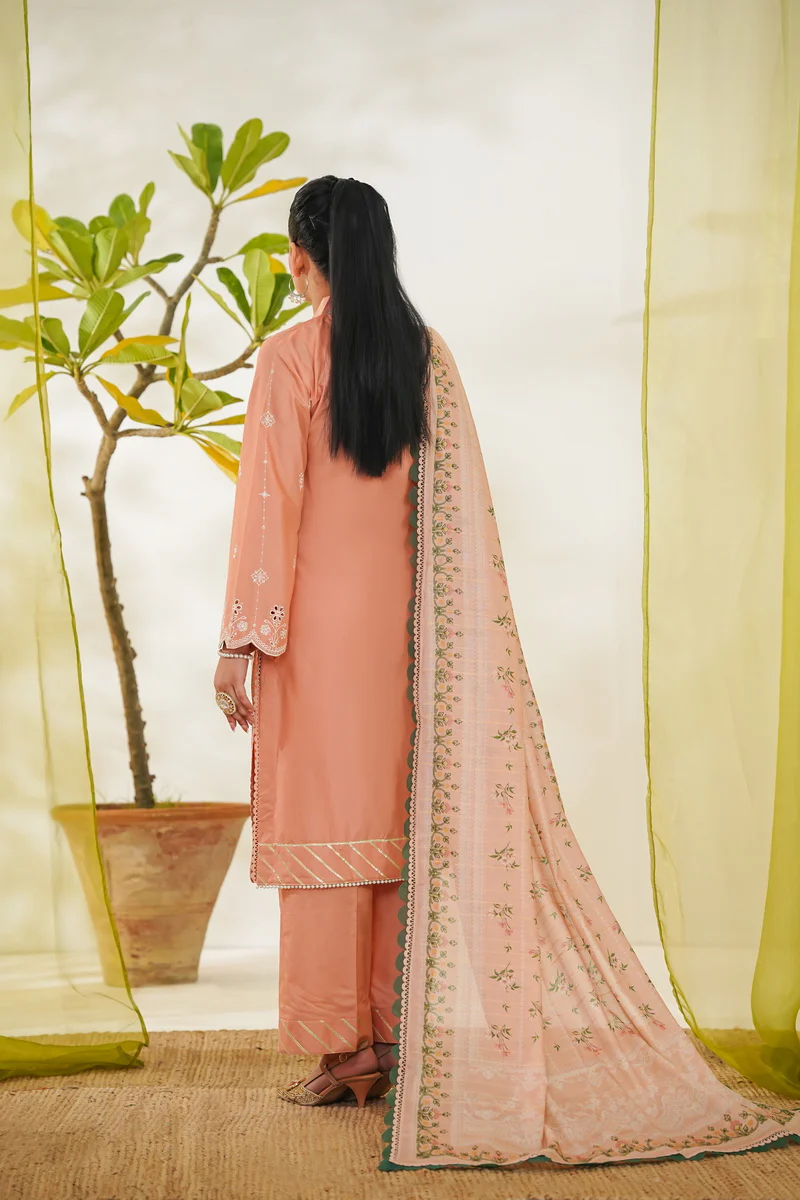 Anmol Embroidered D-087 - Image 4