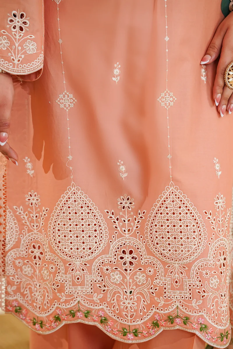 Anmol Embroidered D-087 - Image 5