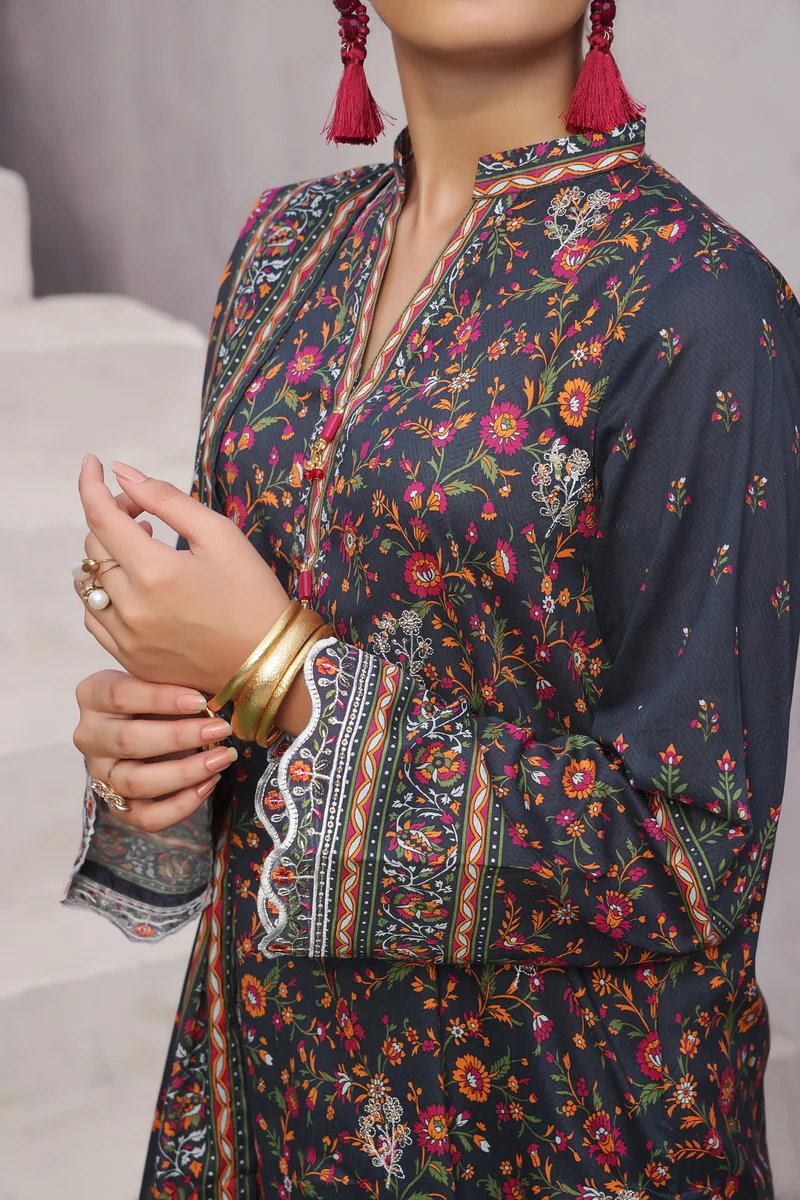Ayesha Alishba Emb D-63 - Image 3