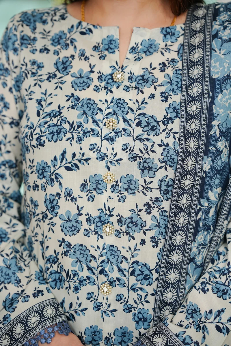 Daman Lawn D-810 - Image 2