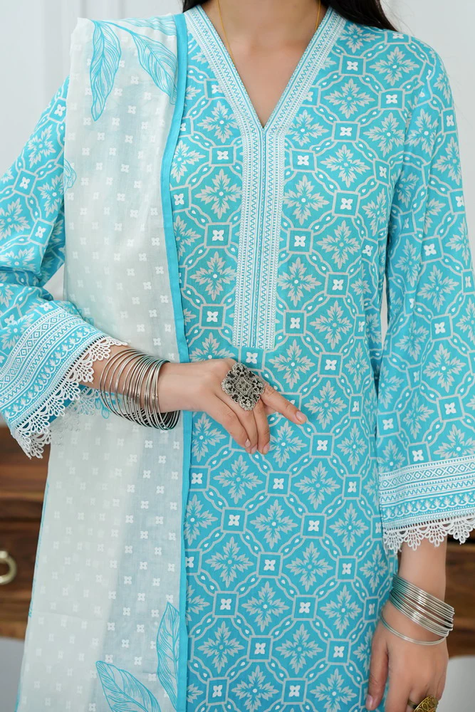 Daman Lawn D-816A - Image 5