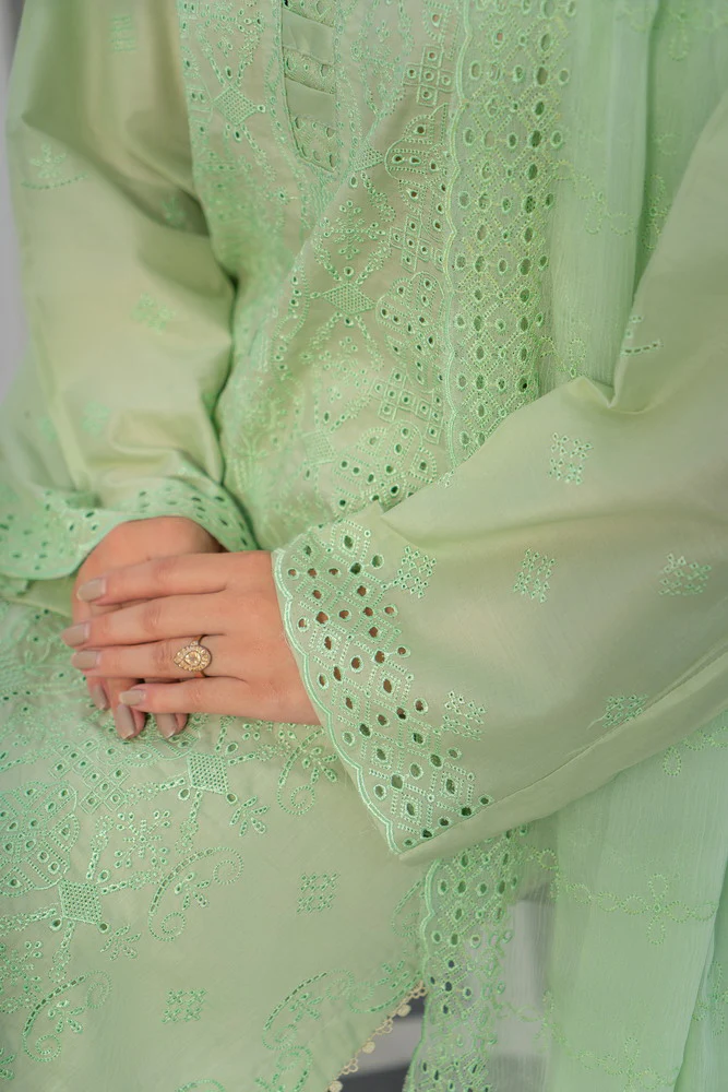 Eshaal Chikankari D-319 - Image 5